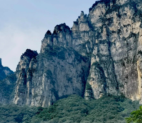 一小块玉髓卖到了350万？到底是炒作还是真值钱呢