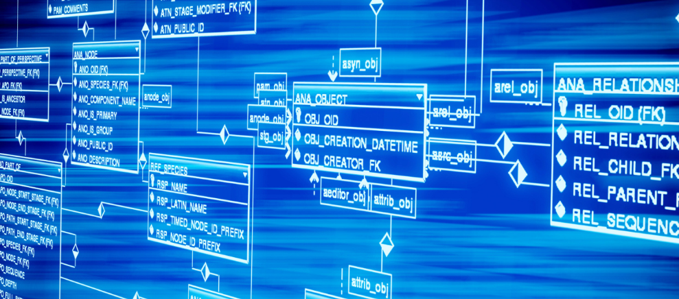 论宋代定窑瓷器特征及其鉴赏断代之法