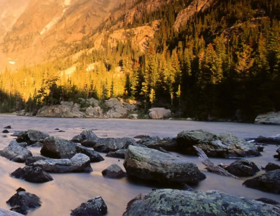 翰墨丹青故乡行·唐湘子书画作品巡展炎陵站开幕